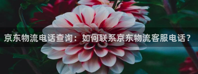 28圈官网多少：京东物流电话查询：如