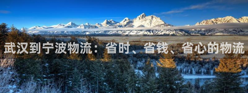 28圈百度百科