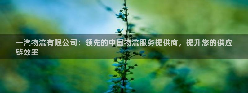 28圈PG电子游戏