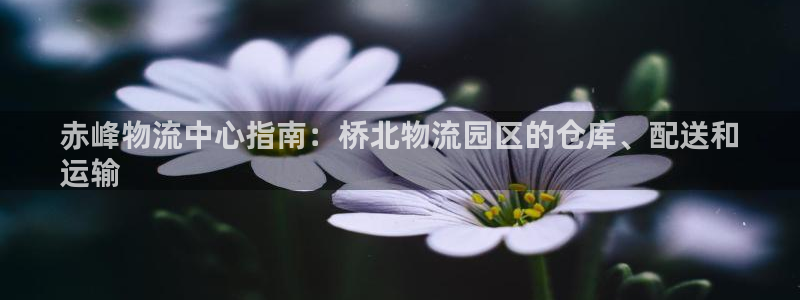 28圈连输10天：赤峰物流中心指南：