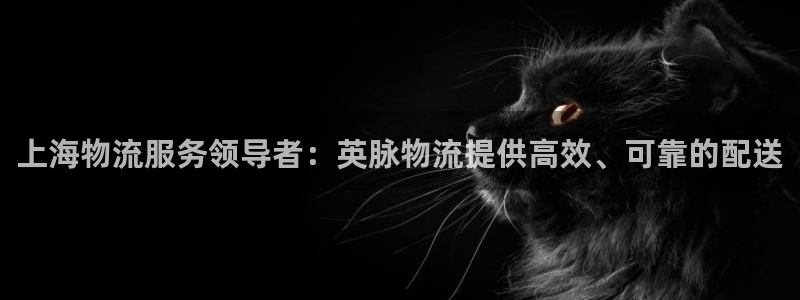 28圈分分压单双技巧