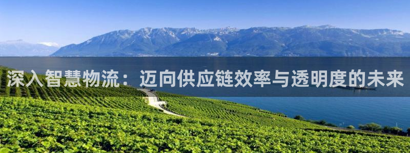 28圈是啥
