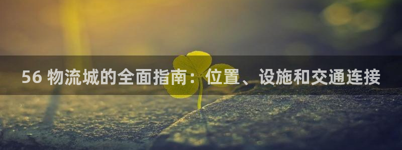 28圈模拟器在线玩