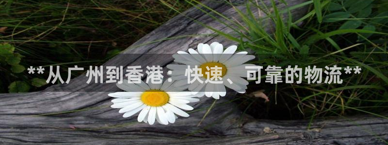 南宫28圈官网版：**从广州到香港：