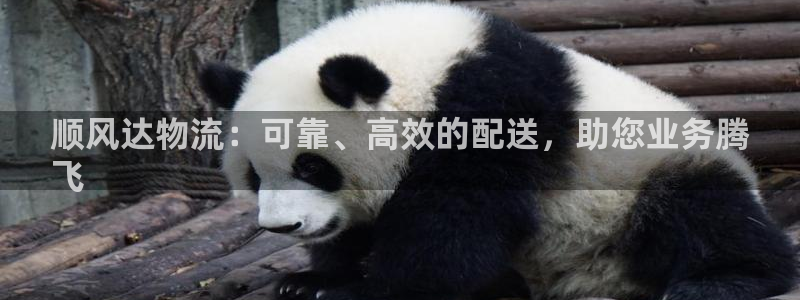 28圈软件堵什么反什么