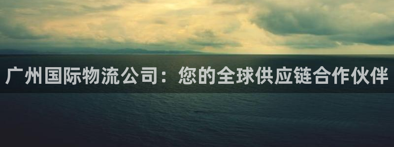 28圈注册链接：广州国际物流公司：您