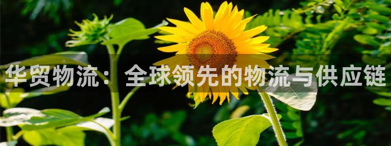 28圈app能退款吗
