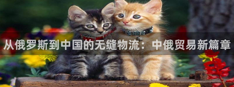 28圈能赢钱吗