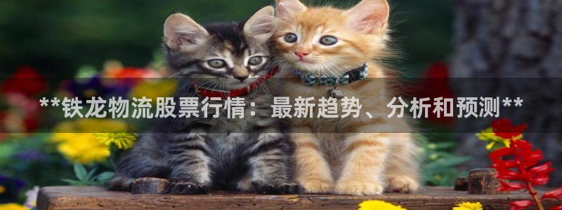 28圈推广链接是多少