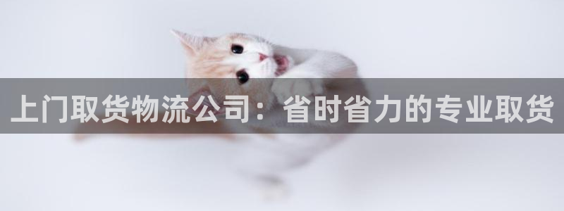 28圈软件堵什么反什么
