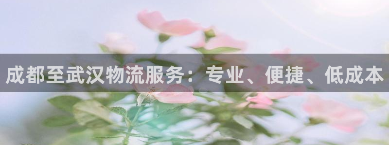 28圈网站平台是多少