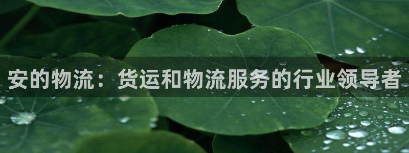 28圈下载二维码怎么弄