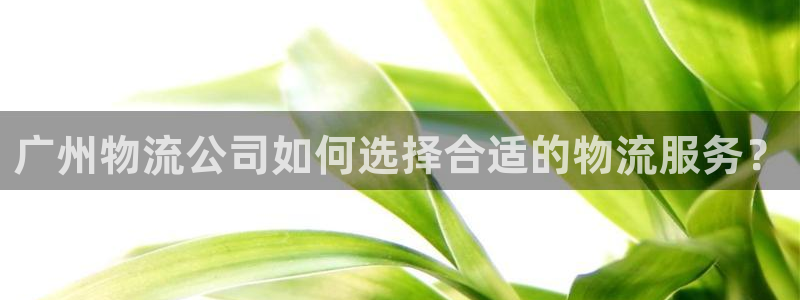 28圈下载体育
