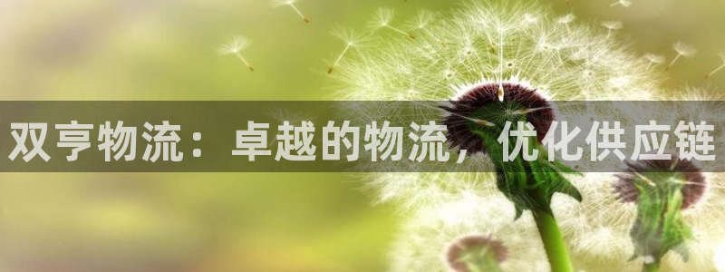28圈是啥