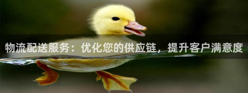 28圈.ccm官网