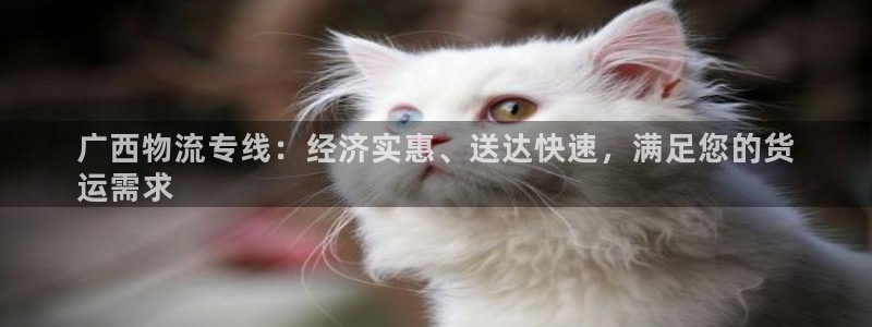 28圈注册：广西物流专线：经济实惠、
