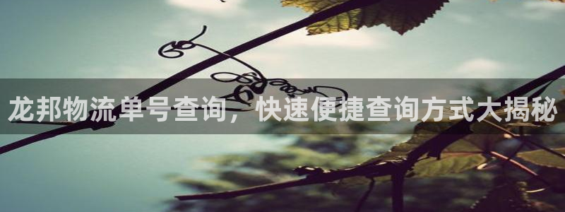 28圈模拟器