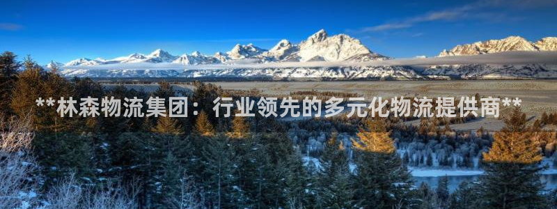 pc28圈怎么注册：**林森物流集团：行业领先的多元化物流提