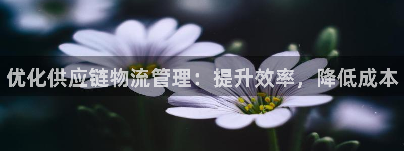 28圈.ccmpc正版：优化供应链物流管理：提升效率，降低成