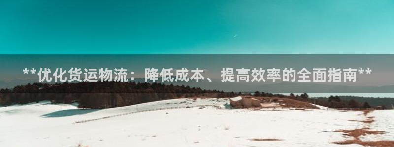 28圈软件有什么用：**优化货运物流：降低成本、提高效率的全