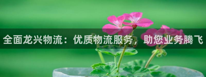 28圈娱乐官网网页下载