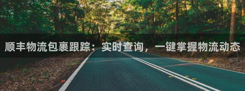 28圈黑吗：顺丰物流包裹跟踪：实时查