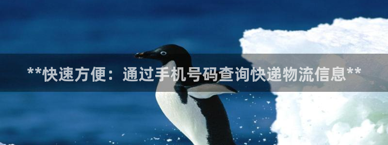 28圈注册网页：**快速方便：通过手