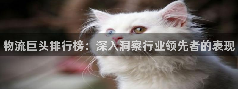 28圈比特28预测在线预测