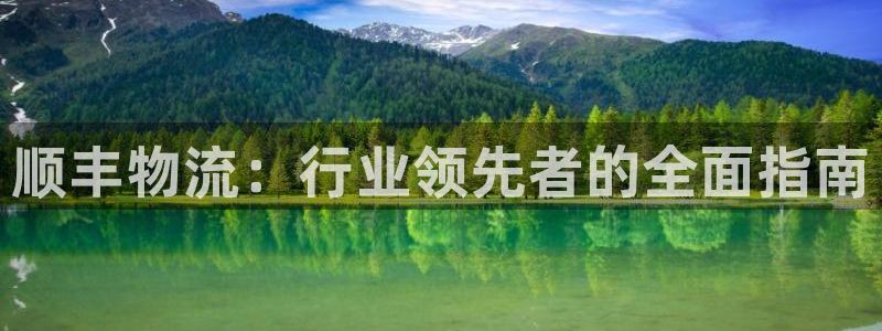 28圈加拿大官网：顺丰物流：行业领先