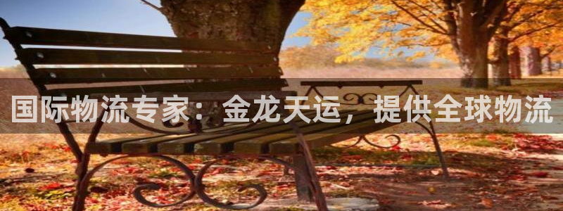 28圈预测网