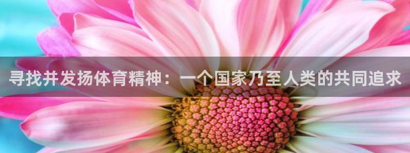 77体育官网