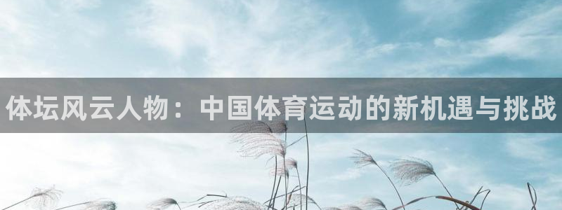 77体育官网