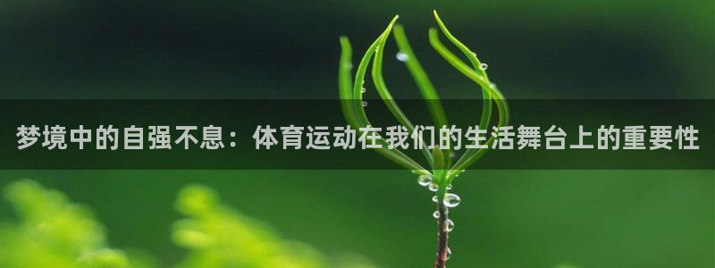 77体育