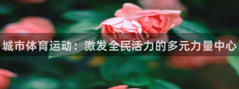 77体育