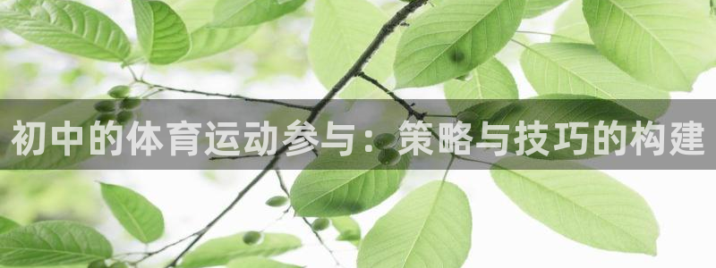 皇冠277体育