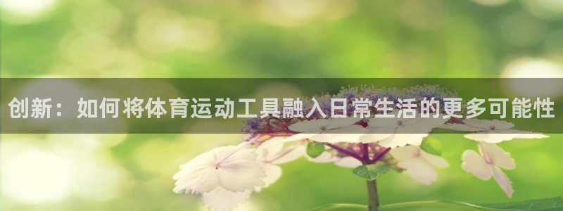 77体育官网