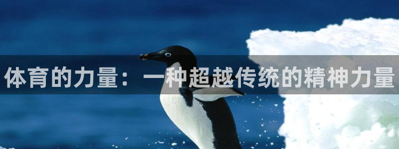 77体育app下载官网