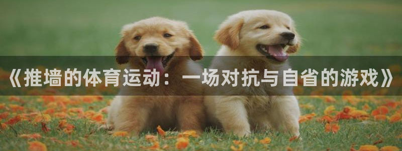 77体育