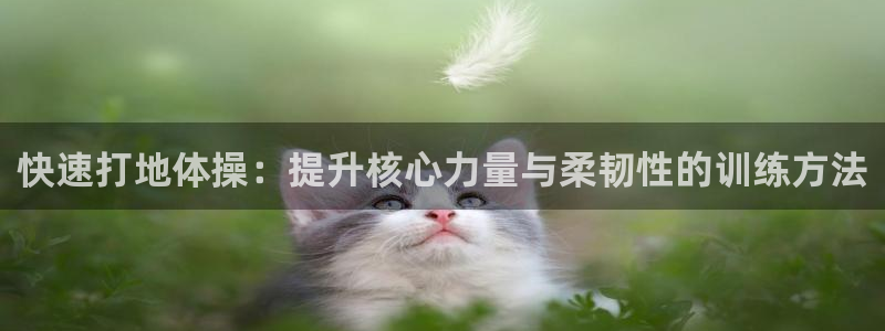 77体育app下载官网