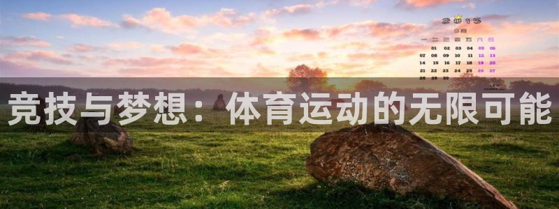 77体育官网