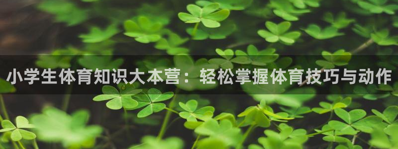77体育app下载官网