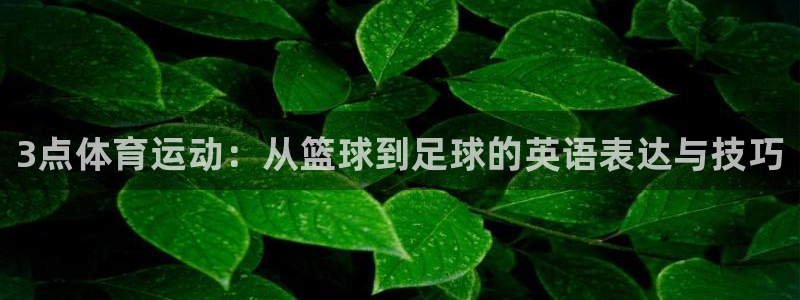 皇冠277体育