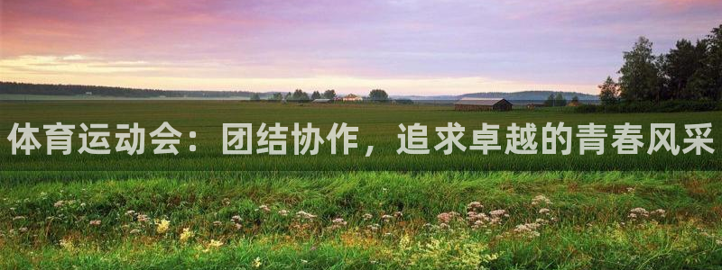 77体育app下载官网