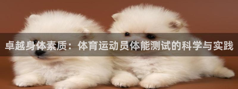 77体育app下载官网