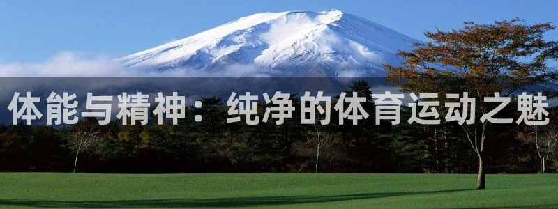 77体育