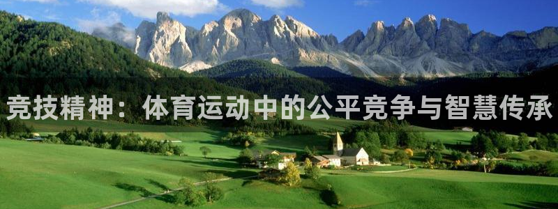 77体育app下载官网