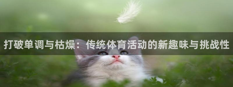 77体育