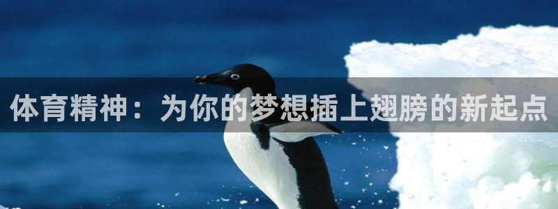 77体育官网