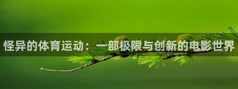 77体育官网