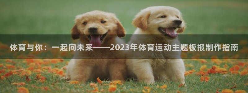 77体育